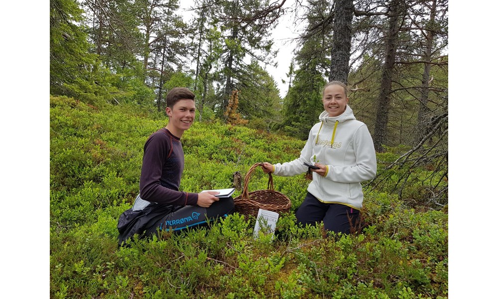 To elever på biologiekskursjon i skogen.