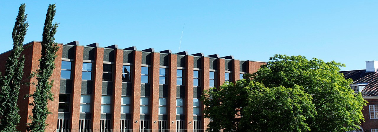 Skolebygget header.jpg