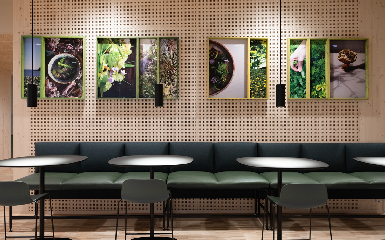 Kunstnerduoen KVAE &amp; BARK sitt verk best&aring;r av flere deler, som alle kretser rundt et hovedmotiv; en serie &laquo;matportretter&raquo; laget spesielt for Cissi Klein videreg&aring;ende skole. Kunstnerne har unders&oslash;kt og sanket planter i n&aelig;romr&aring;det til skolen, og har, med utgangspunkt i det de har funnet, skapt fire unike matretter. 