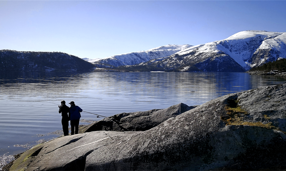 Speider etter fisk Speider etter fisk. Foto: Tom Roger Bråteng.