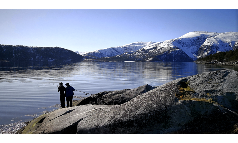 Speider etter fisk. Foto: Tom Roger Bråteng.