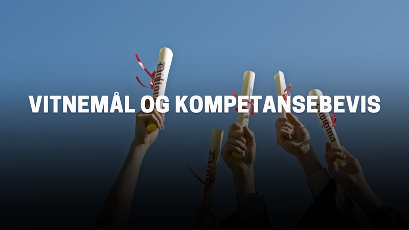 Illustrasjonsbilde vitnemål og kompetansebevis