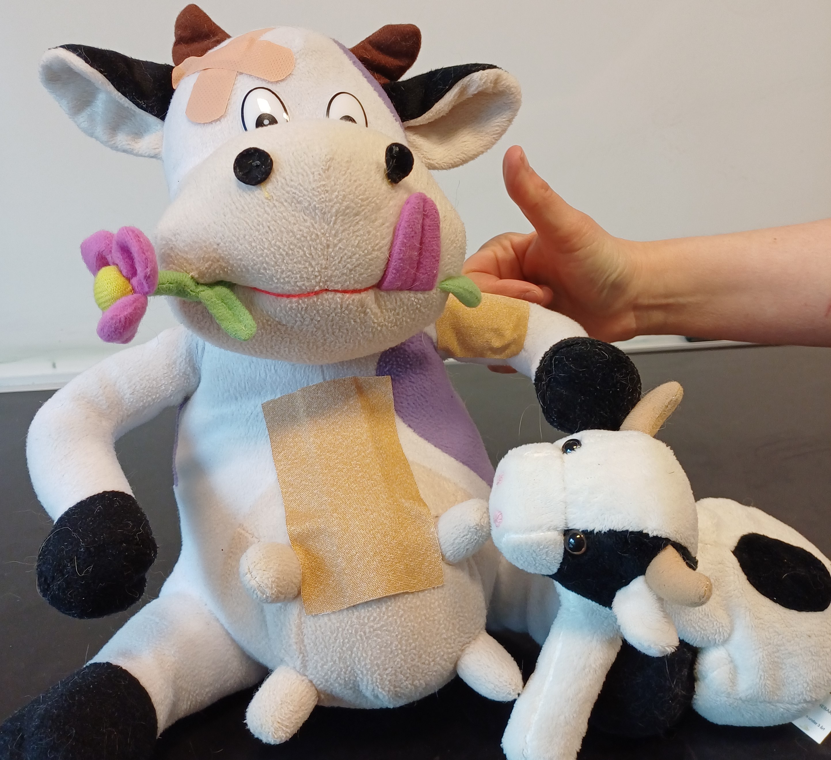 kubamse