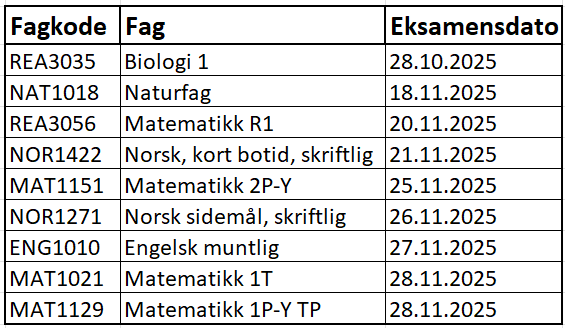 Skjermbilde 2025-10-13 121456.png