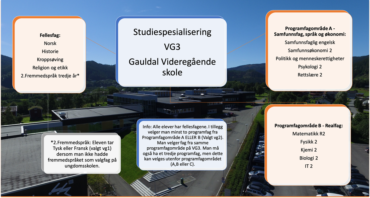 studiespesvg3.png