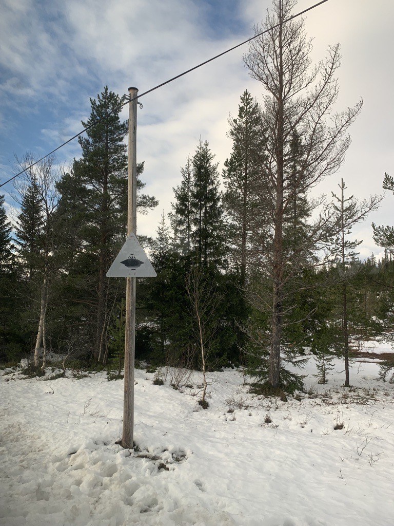 UFO.jpg