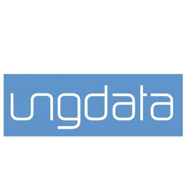 Ungdata logo.jpg