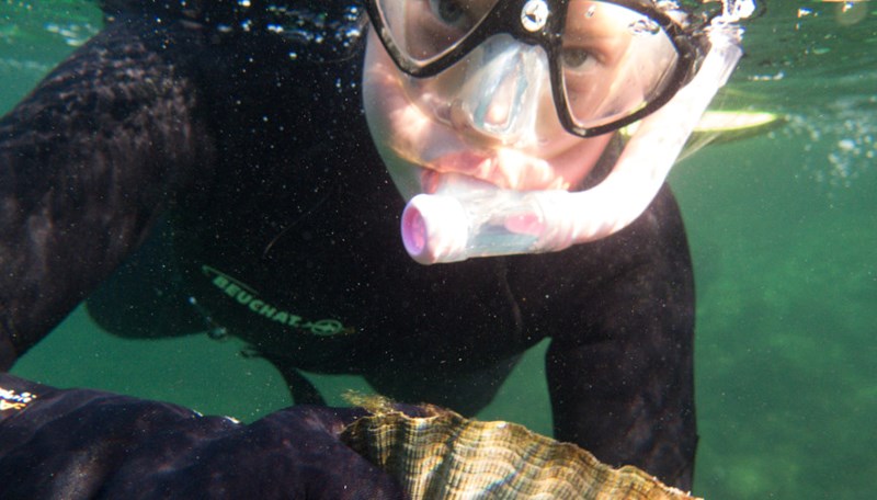 Bilde av elev som dykker i sjøen