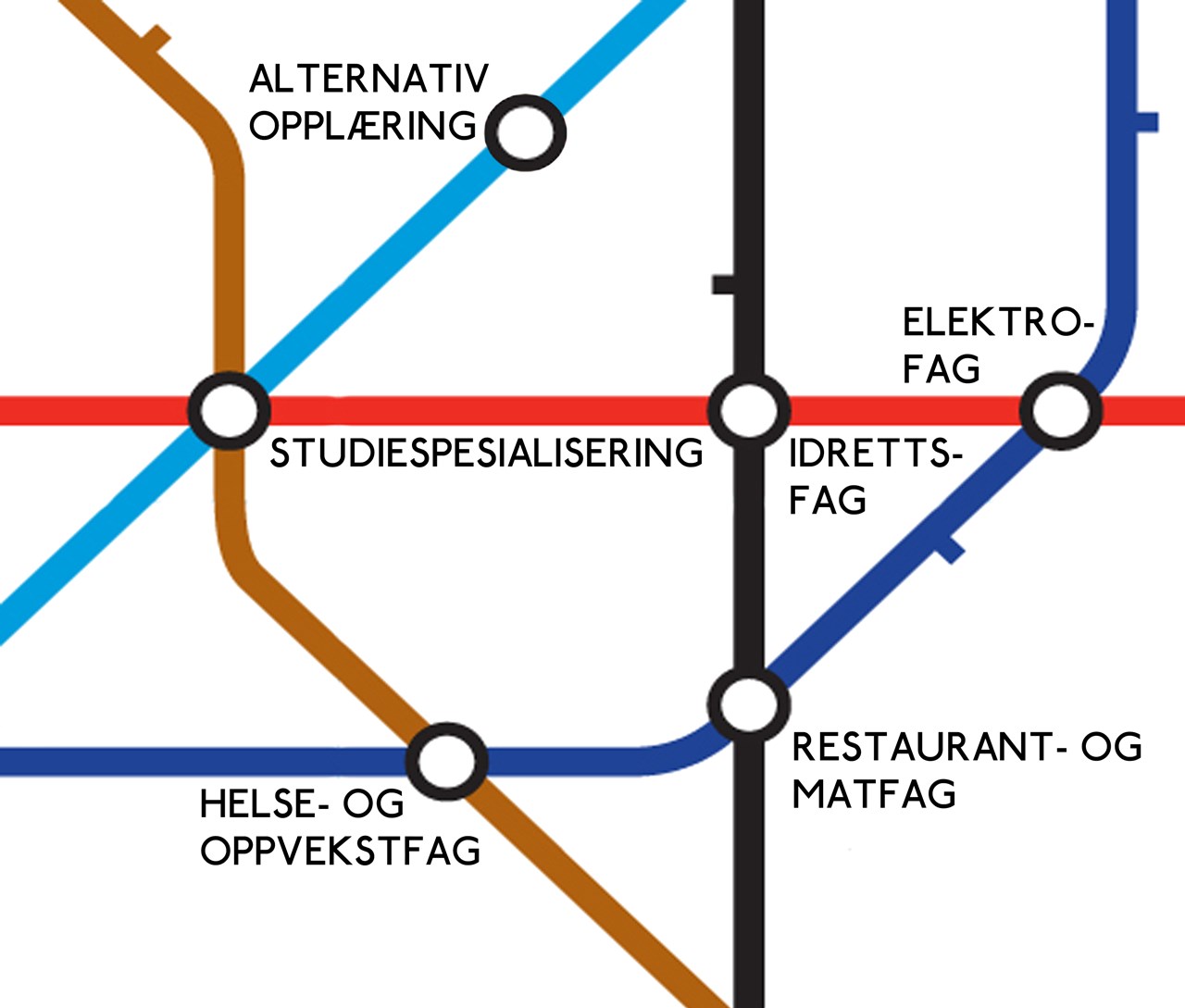 STRINDA_programområder.jpg