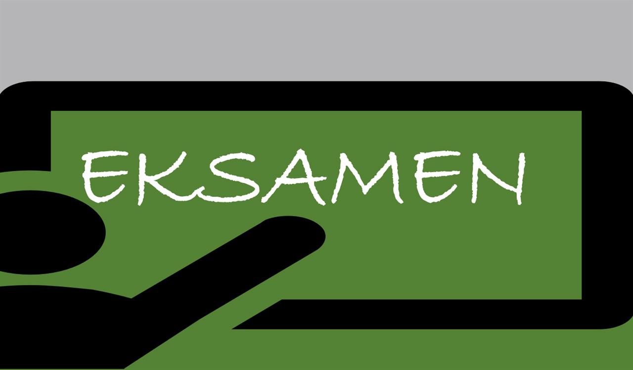 Eksamen_meldal.jpg