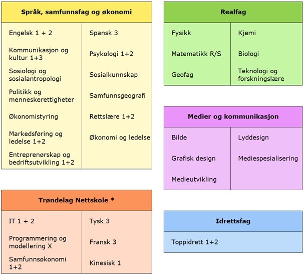 Programfag tabell.jpg