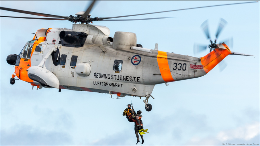 seaking.png