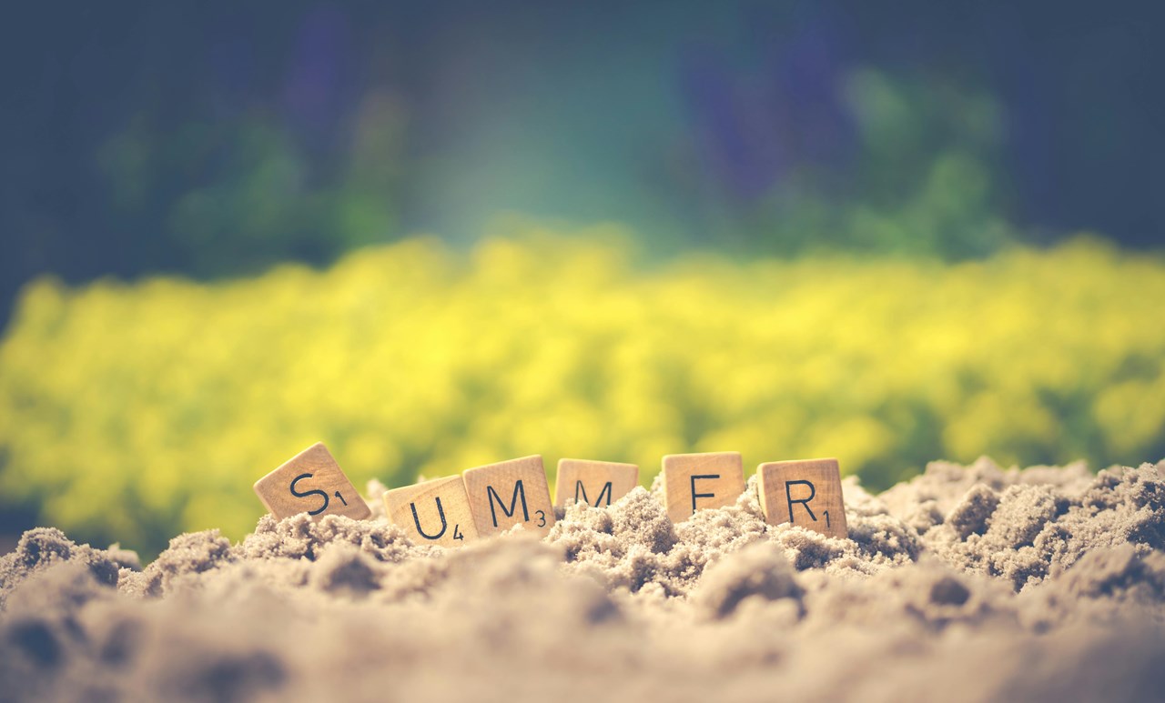 Illustrasjon av sommer.
Bilde av Ylanite Koppens: https://www.pexels.com/nb-no/bilde/1209611/