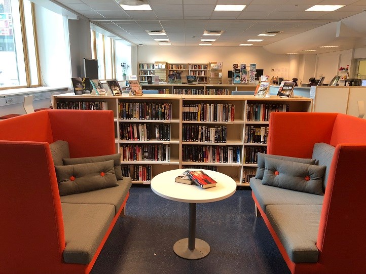 BILDE AV BIBLIOTEKET JUNI 2016 722 PXL.jpg