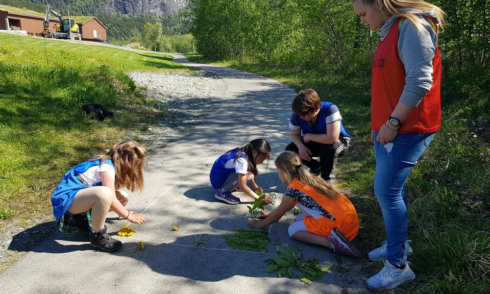 Aktiviteter med SFO Barne- og ungdomsarbeiderfaget i aksjon sammen med SFO fra Grong barne- og ungdomsskole. Foto: Ingunn Sagmo.