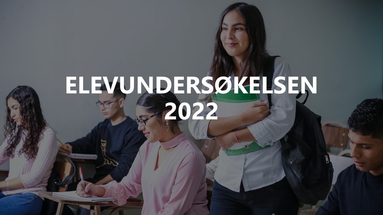ELEVUNDERSØKELSEN.jpg