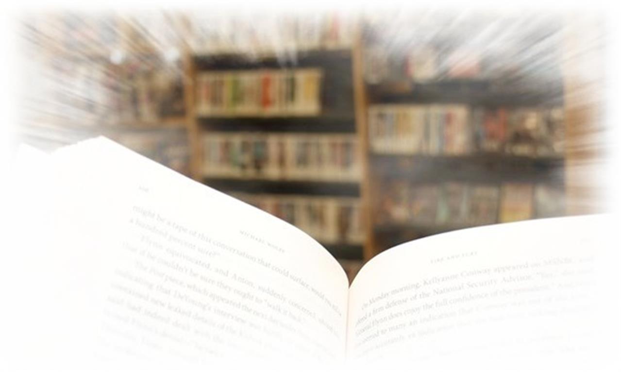 Leksvik vgs bibliotek