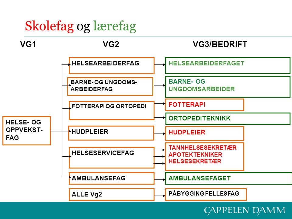 Helse Og Oppvekstfag - Skoleside