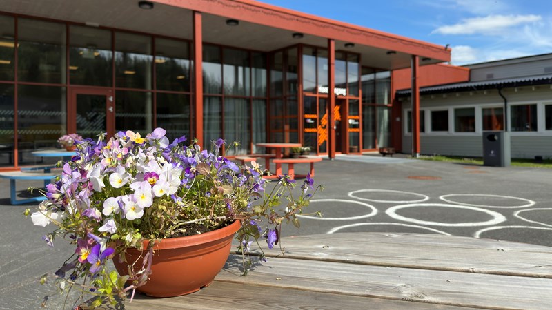 Blomsterkrukke i fokus, med inngangspartiet til Åfjord vgs i bakgrunnen
