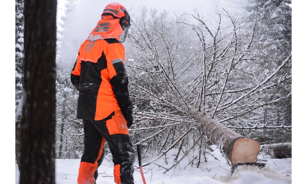 Skogbruksøvinger. Foto: Jonathan Helguera.