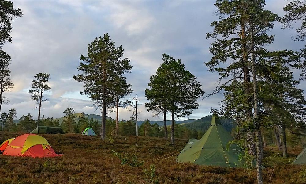 Teltleir ved Reinsjøen Teltleir ved Reinsjøen. Foto: May Britt Knudsen.