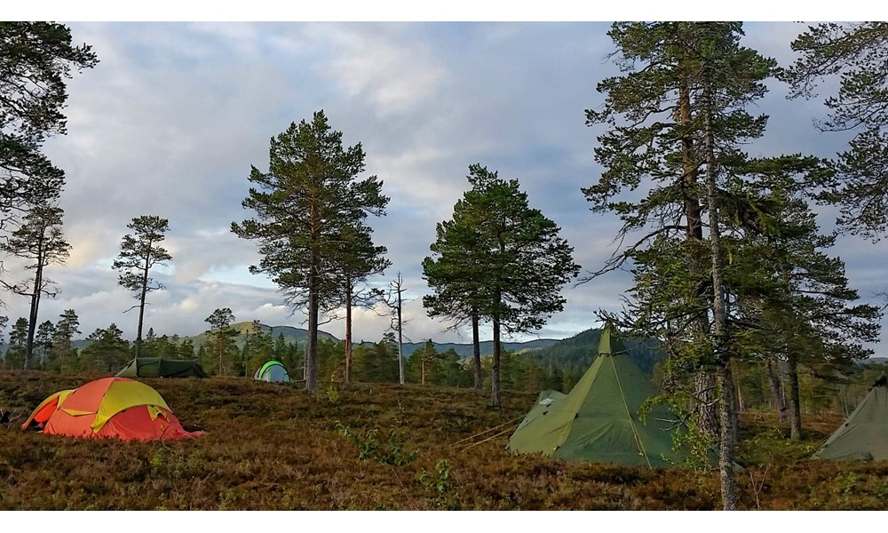 Teltleir ved Reinsjøen. Foto: May Britt Knudsen.