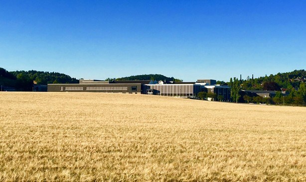 Bilde av skolen