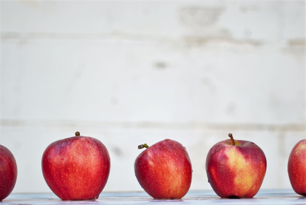 epler - isabella-and-zsa-fischer-uSPjZzYwXO4-unsplash.jpg