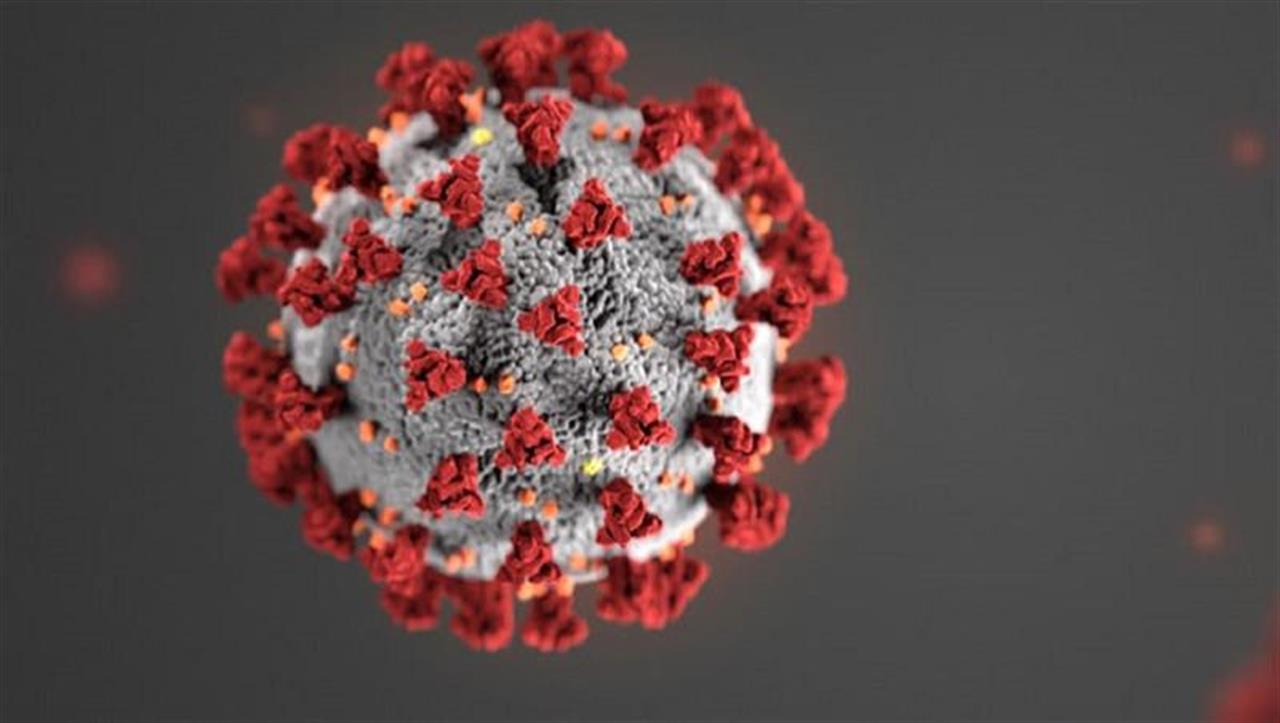 Korona virus.jpg