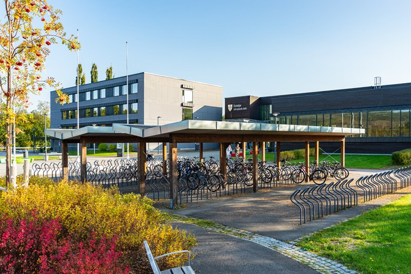 Bilde sykkelstativ inngang.jpg