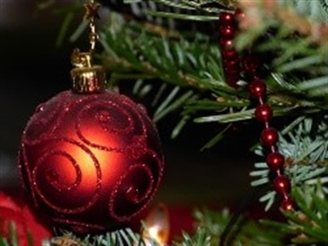 Jul.jpg