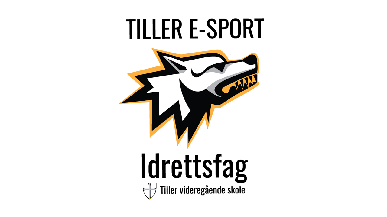 esport-logo-2023-idrettsfag-svart-1550.png