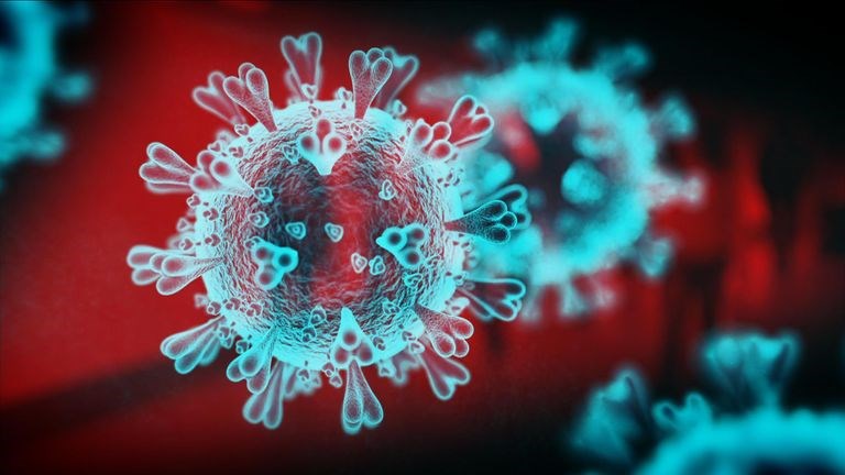skynews-virus-graphic-coronavirus_4917796.jpg