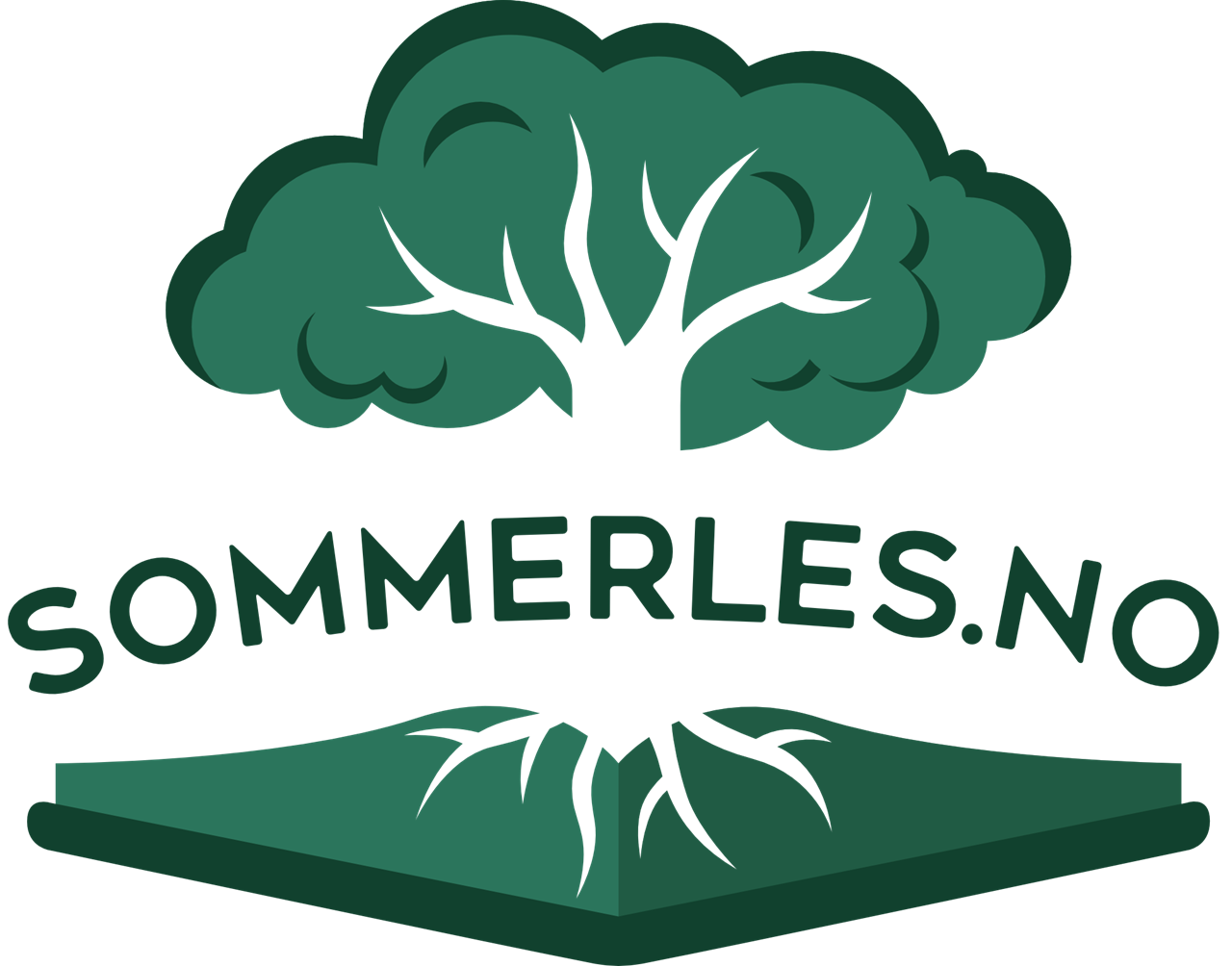 Logo Farge (Bokmål) (1).png
