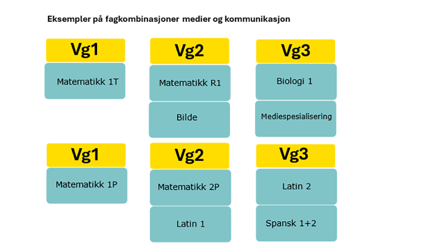 MK Fagkombo 1.png