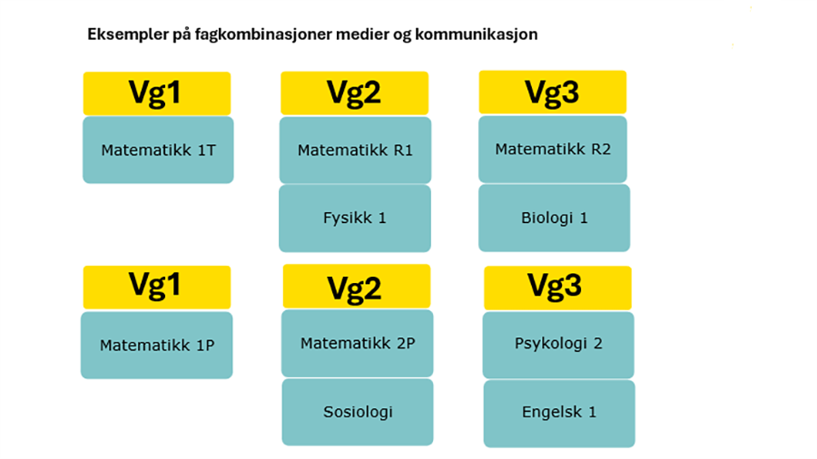 MK Fagkombo 2.png