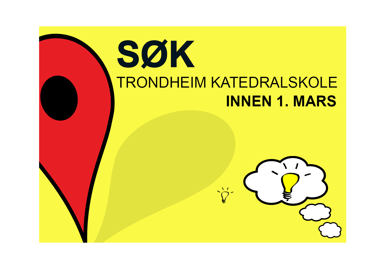 SØK KATTA kopi.png