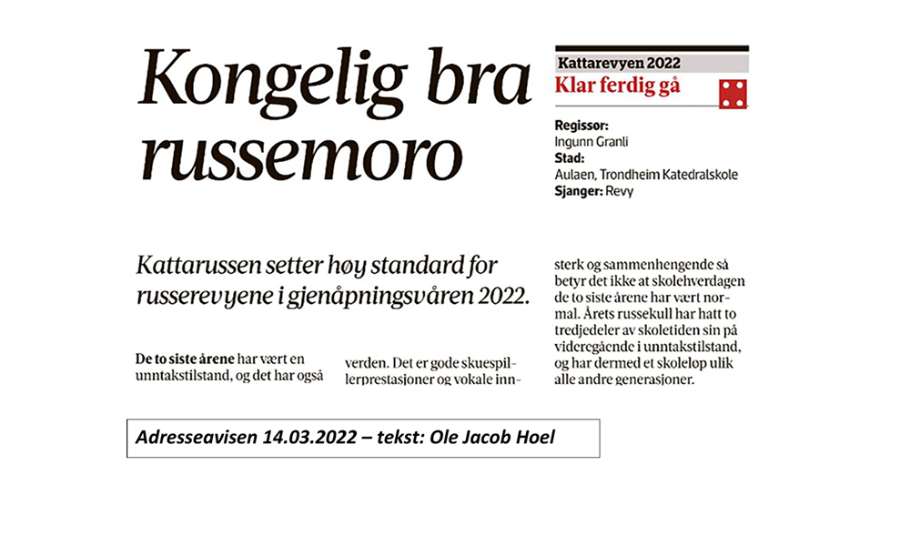 Adressa revyanmeldelse.png