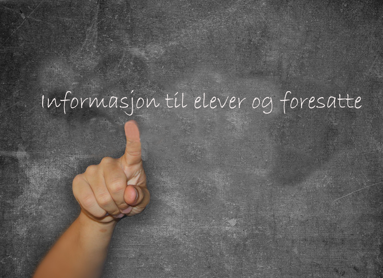 Elevundersøkelsen 2025 kopi.png