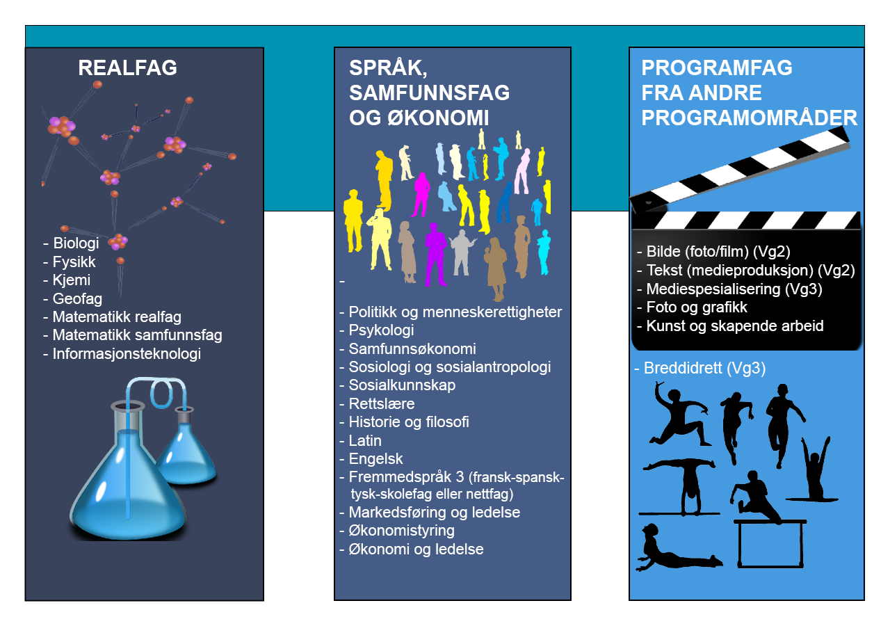 Programfag studiespes 24-25 png.png
