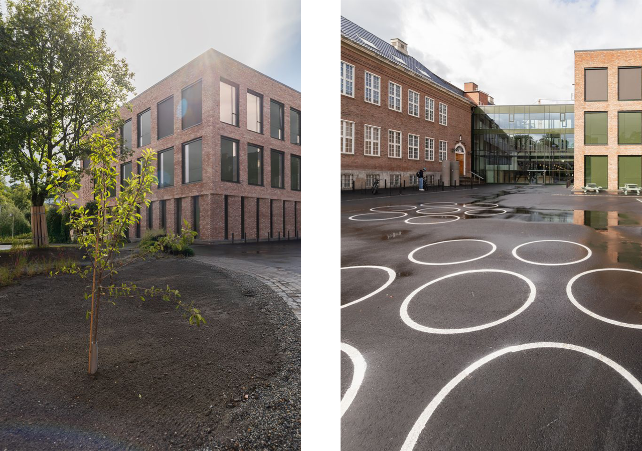 Skolegården i glimt.png