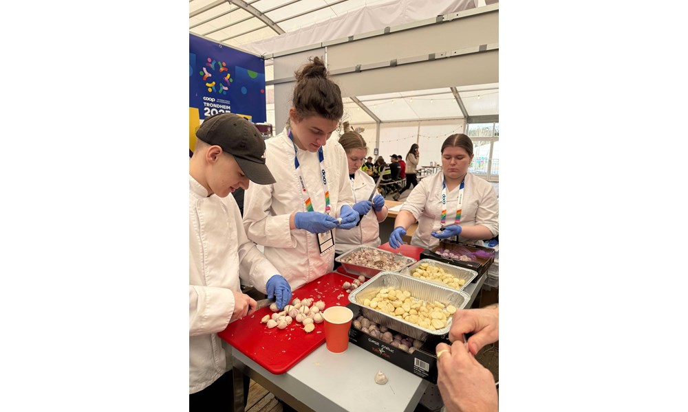 Bildet viser fire unge kokker i full sving med forberedelser i et lyst telt eller en mathall. De er kledd i hvite kokkejakker og bruker blå engangshansker mens de jobber konsentrert med store mengder hvitløk.