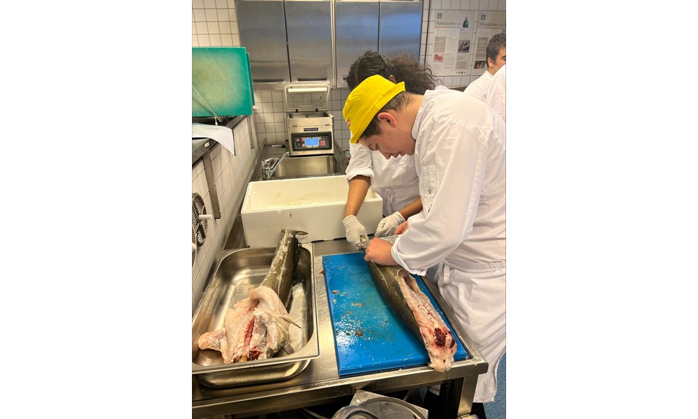 Dette bildet viser to kokker i dyp konsentrasjon mens de prepper stor fisk på et profesjonelt kjøkken.