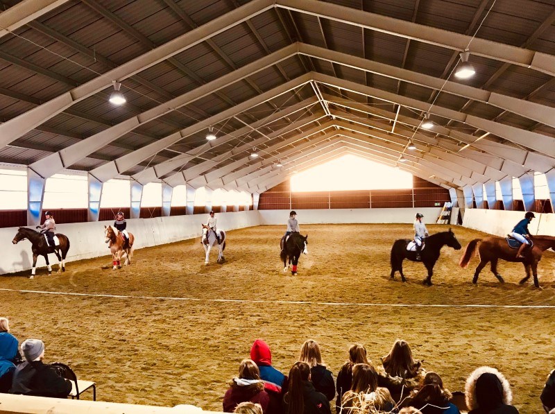 Hester med ryttere i skolens rideahall